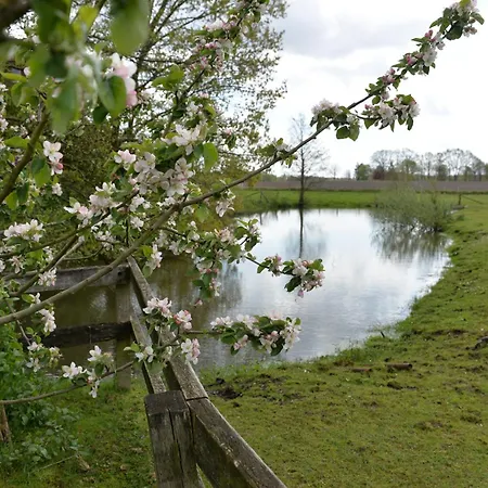 Pferdestall Lejlighed Haselünne
