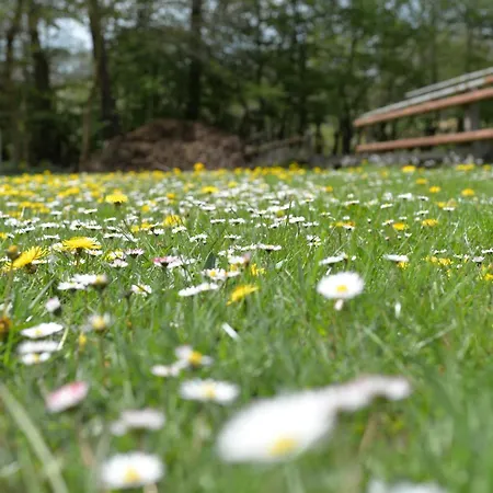 Pferdestall Lejlighed Haselünne